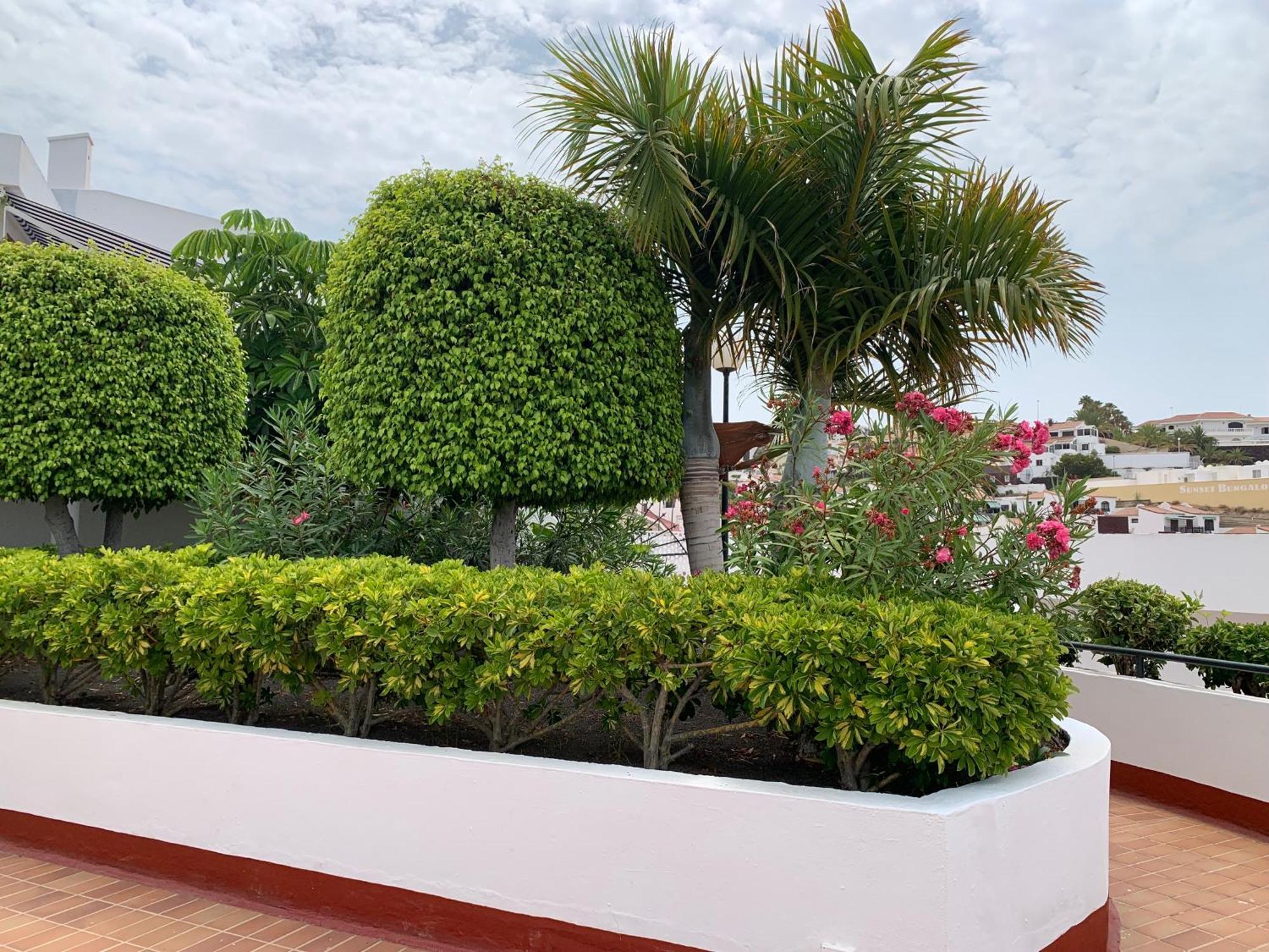 Ocean Breeze And Seaview Resort Costa Adeje  Exterior foto